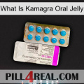 What Is Kamagra Oral Jelly new07